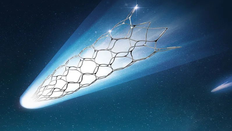 自膨式颅内药物洗脱支架系统（利兰生物）